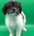 Photo of DAISY