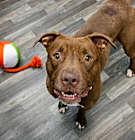 Photo of Rueben