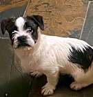 Photo of ISSAC