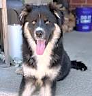 Photo of JETT