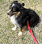 Photo of TUK