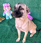 Photo of Lola