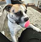 Photo of Cain