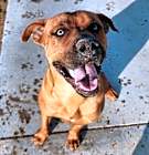 Photo of Clifford