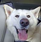 Photo of BOO