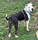 Photo of Penelope