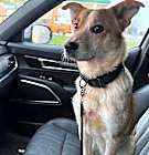 Photo of Cash