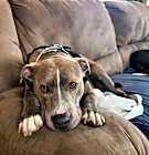 Photo of Delta