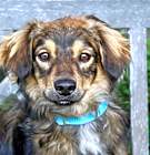 Photo of Riggs