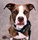 Photo of Quincy