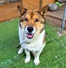 Photo of Tayo