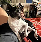 Photo of Noah
