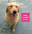 Photo of Hope