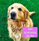 Photo of Isla