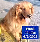 Photo of Frank
