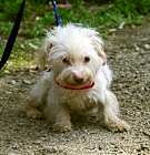 Photo of Sugar