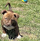 Photo of Frannie ((Mama Pearl's babies)