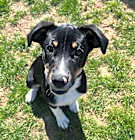 Photo of Jaina (fka Thumper)