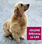 Photo of Jolene