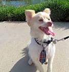 Photo of Arlo