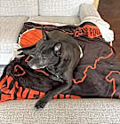 Photo of Lexi