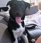 Photo of Daisy (Rosie, Daisy and Sprout)