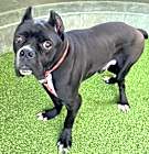 Photo of RANGO