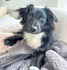 Photo of Oliver  -  So Ca