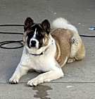 Photo of Lola