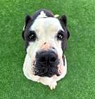 Photo of ZENA