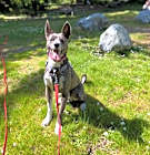 Photo of Mukgoo