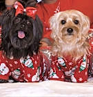 Photo of Tiny&Emma