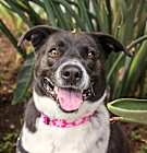 Photo of Polly
