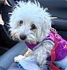 Photo of Rachel