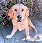 Photo of Casper