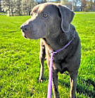 Photo of Jake