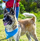 Photo of BRENDA