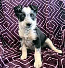 Photo of JILL