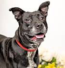 Photo of Kiva