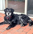 Photo of Lucie