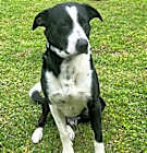 Photo of Walter