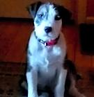 Photo of Eli