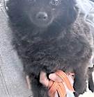 Photo of Edna