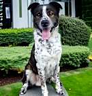 Photo of SPOT