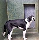 Photo of MAILO