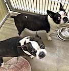 Photo of Lola and Kevin