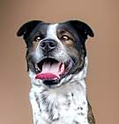 Photo of SPOT