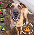 Photo of Zeus