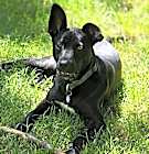 Photo of BENNY