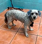 Photo of BOO